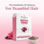 RawTatva Hibiscus Powder | 100G
