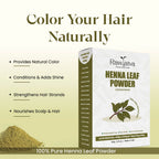 Henna Powder | Natural Hair Color & Conditioning Powder | 100g