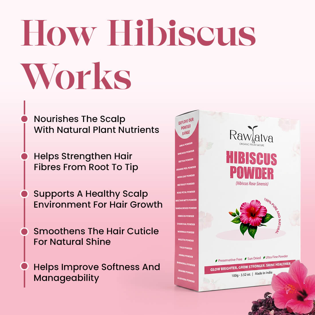 RawTatva Hibiscus Powder | 100G